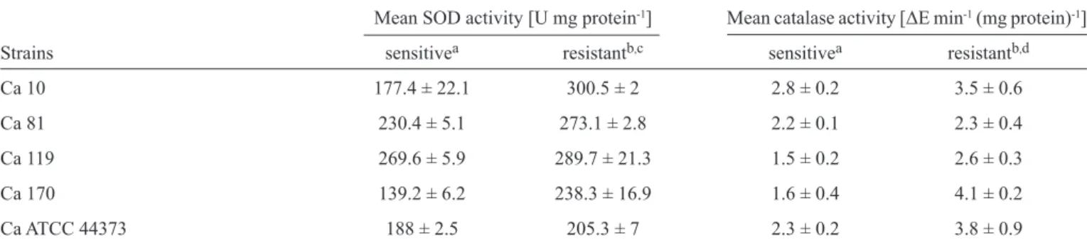 TABLE 2 - Superoxide dismutase and catalase activities of the amphotericin B-sensitive and amphotericin B-resistant Candida dubliniensis  strains.