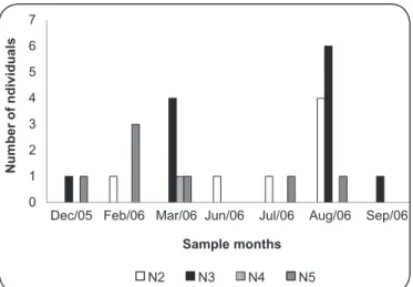 FIGURE 2 - Capture of Panstrongylus megistus adults throughout the months  (October 2005 to March 2006) showing the number of infected individuals and  the sex ratio of specimens from Porto Alegre, State of Rio Grande do Sul, Brazil.