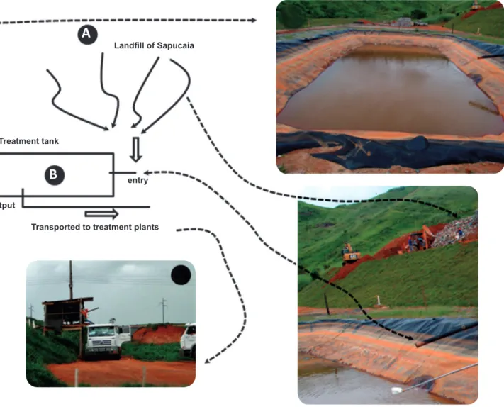 FIGURE 1 - Appearance of the container from which immature forms were collected: the percolation tank in the landﬁ ll of Sapucaia, State of Rio de Janeiro 
