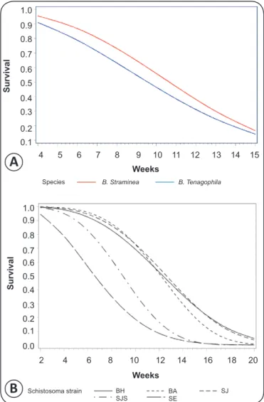 FIGURE 4 - Survival curves adjusted for the Weibull distribution with respect  to the two species of mollusks, B