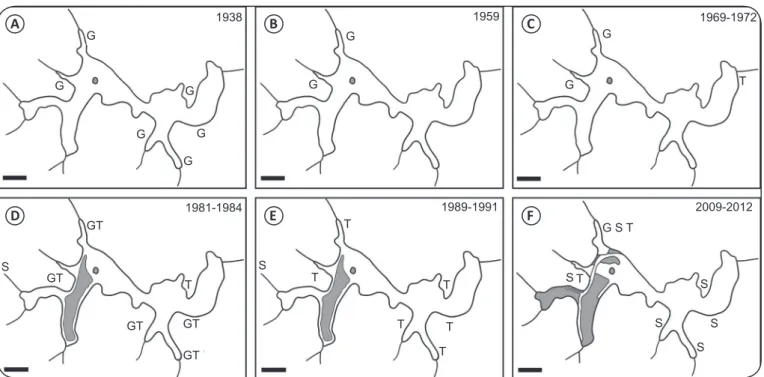 FIGURE 2 - Sketch maps of the Pampulha reservoir, Belo Horizonte, State of Minas Gerais, Brazil, showing the distribution of the Biomphalaria species in the  six sampling points evaluated during the present and previous malacological surveys by other autho
