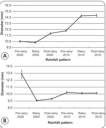 FIGURE 2 - Diameter in millimeters(mm)  of the Biomphalaria glabrata snails collected  according to the rainfall pattern from January 2009 to December 2010