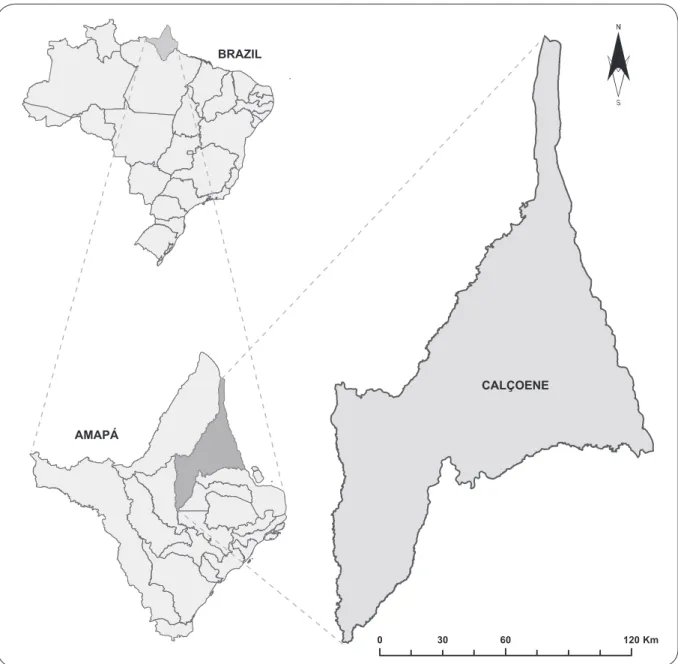 FIGURE 1 - State of Amapá and the municipality of Calçoene.