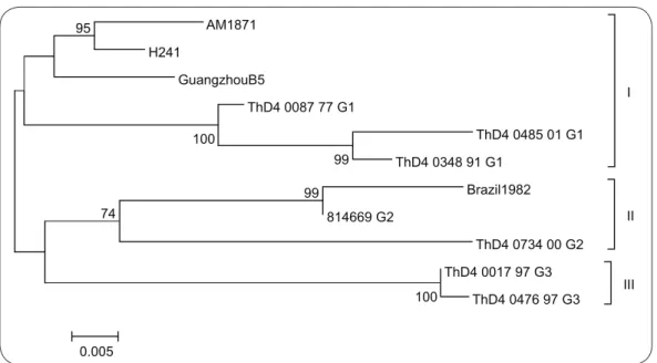 FIGURE 1 - Phylogenetic tree of dengue type 4 sequence references and the sequence from Aedes aegypti mosquitoes obtained in Manaus, Amazonas, Brazil