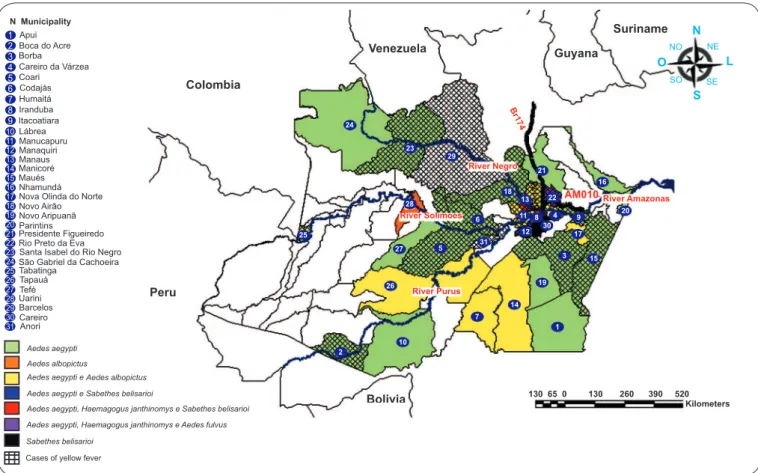 FIGURE 1 - Municipalities of State of Amazonas with the presence of vectors and sylvan yellow fever cases, period 1996-2009.