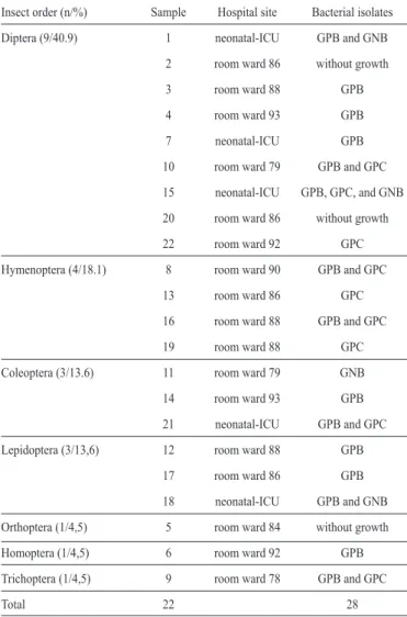 TABLE 1 - Bacteria isolated from external surface of the lying insects caught at different  sites in a Brazilian hospital according to the orders of the insects sampled
