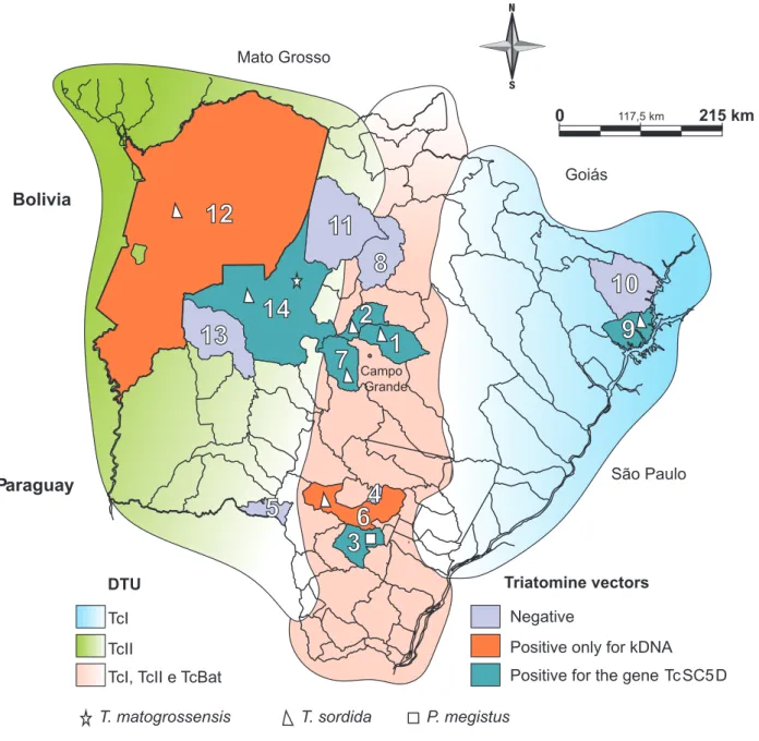 FIGURE 2 - Map of the State of Mato Grosso do Sul, Brazil, highlighting the cities where the triatomines were captured and the  distribution of the DTUs found in infected insects