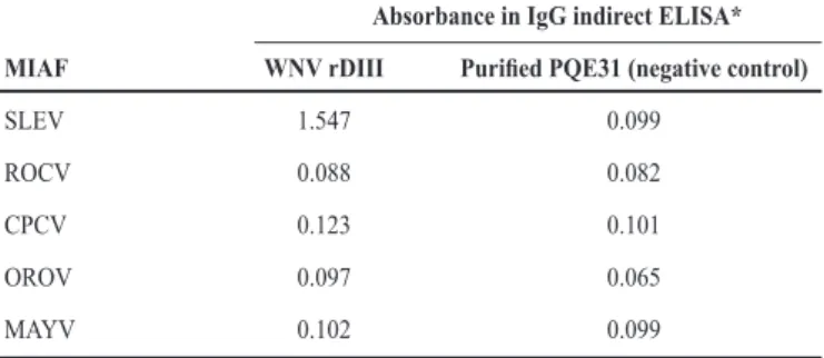 TABLE 1 - Reactivity of murine polyclonal antibodies (MIAFs) with rDIII- rDIII-WNV antigen in the standardized IgG-ELISA