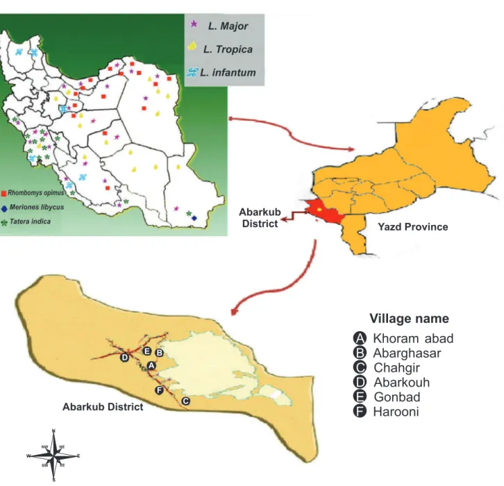 FIGURE 1 - Map of  Abarkouh showing sampling regions and the geographical distribution of reservoir hosts of ZCL in different  regions of Iran