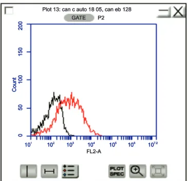 FIGURE 2 - Histogram showing the red ﬂ uorescence in relative units  (red ﬂ uorescence: FL3 channel, FL3-A log) of Candida parapsilosis  (ATCC 22019) stained with propidium iodide