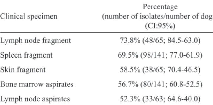 TABLE 1 - Results of parasitological cultures using different  clinical specimens from euthanized seropositive dogs.