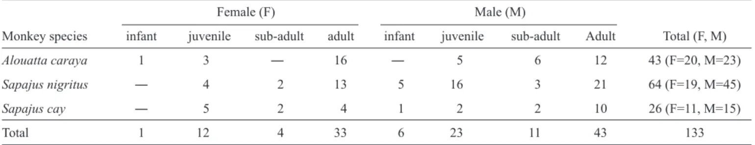 TABLE 1 - The species, sex, and age distributions of free-ranging New World monkeys captured within the Porto Rico County region,  Southern Brazil.