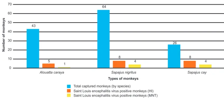 FIGURE 2 - Relationships between the total numbers of captured monkeys (by species) and positive results in the hemagglutination  inhibition (HI) and mouse neutralization test (MNT) assays.