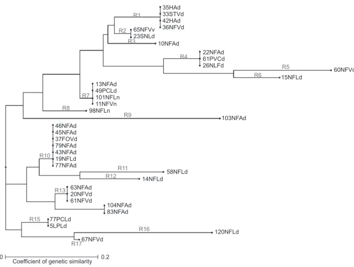 FIGURE 1 - Z estimated by ribotyping-PCR for 36 methicillin-resistant Staphylococcus spp