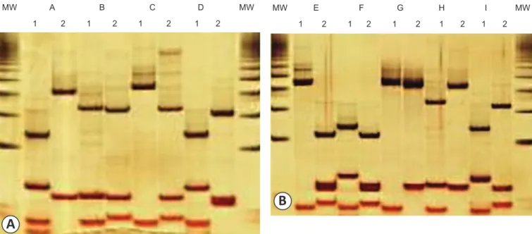FIGURE 1 - The relationship between HCV RNA viral load levels  given by ControlLab and obtained by nested real-time RT-PCR