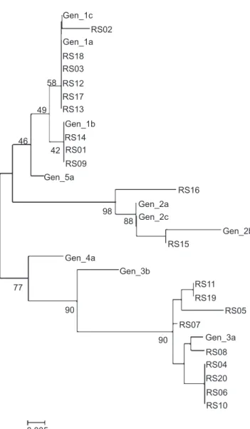 FIGURE 3 - Phylogenetic tree with the 5´UTR HCV sequences of  the reference genotypes (1a, 1b, 1c, 2a, 2b, 2c, 3a, 3b, 4a and 5a)  and 20 randomly selected HCV-positive plasma samples