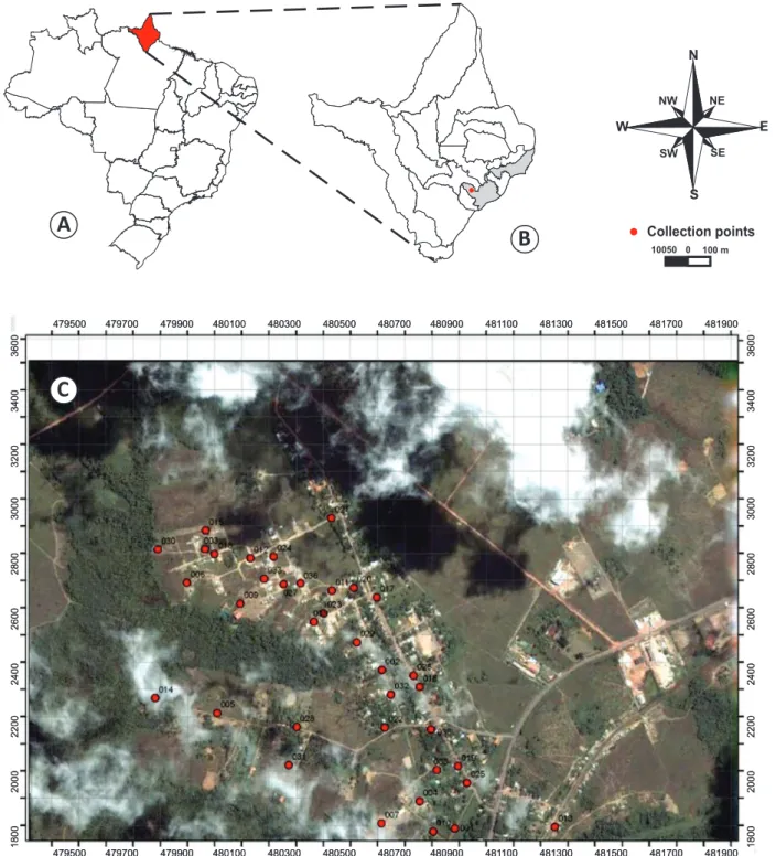 FIGURE 1 - Location of the District of Coração within Brazil. A: In detail, in the State of Amapá