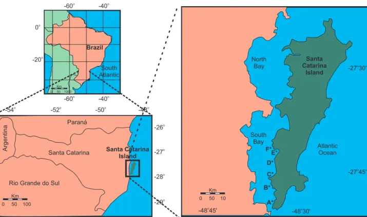 FIGURE 1 - Detailed map of the South Bay, with letters A through F indicating the sampling sites.