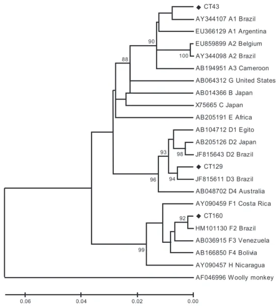 FIGURE 1 - Phylogenetic tree analysis based on nucleotide sequencing of the small S region of hepatitis B virus