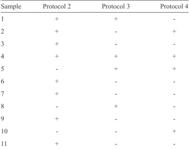 FIGURE 2 - RV1/RV2-PCR analyses of the kDNA region (145bp) ampliﬁ ed  from the dilution curve of Leishmania (Leishmania) chagasi DNA after  extraction using Protocol 3
