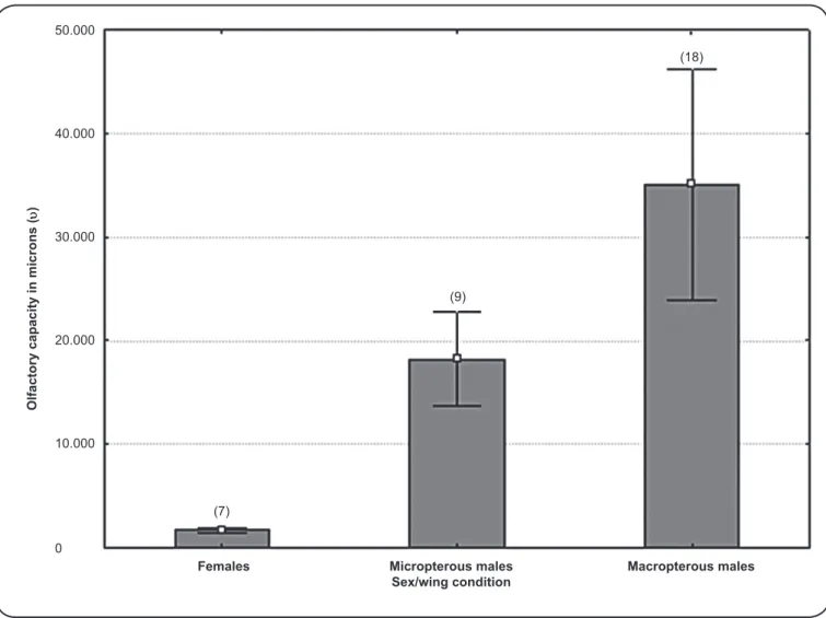 FIGURE 4 - Olfactory estimated capacity of adult Mepraia spinolai (Porter) with different wing conditions