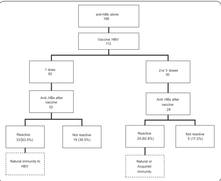 FIGURE 1 -  Distribution of 166 blood donors with the  anti-HBc alone  proﬁ le conﬁ rmed by the hepatitis outpatient clinic, according  to their response to vaccination