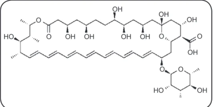 FIGURE 1 - Chemical structure of amphotericin B.