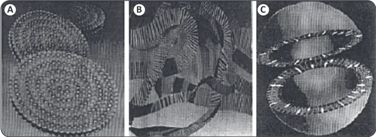 FIGURE 2 - Lipid-based formulations of AmpB. The structural characterization of three lipid-based formulations of amphotericin B  are shown A: AmBisome®, B: AmphocilH® and C: Abelcet®.