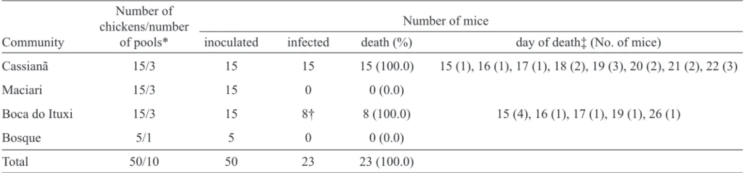 TABLE 3 - Multilocus genotyping of Toxoplasma gondii isolates from free-range chickens from Boca do Ituxi, a riverside community  along the Purus River, municipality of Lábrea, State of Amazonas, Brazil, by means of PCR-RFLP analysis.