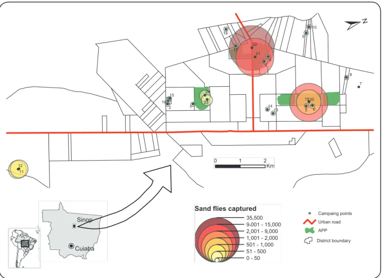 FIGURE 1. Collection sites in the municipality of Sinop, State of Mato Grosso, and the numbers of sand lies captured