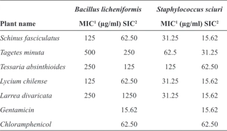 Table 2  shows the SIC and MIC values obtained for the  ﬁ ve plant extracts. These results reﬂ ect a variable degree of  antibacterial activity against the Bacillus and  Staphylococcus  genera, and indicate that dose-dependent antimicrobial activity  was o