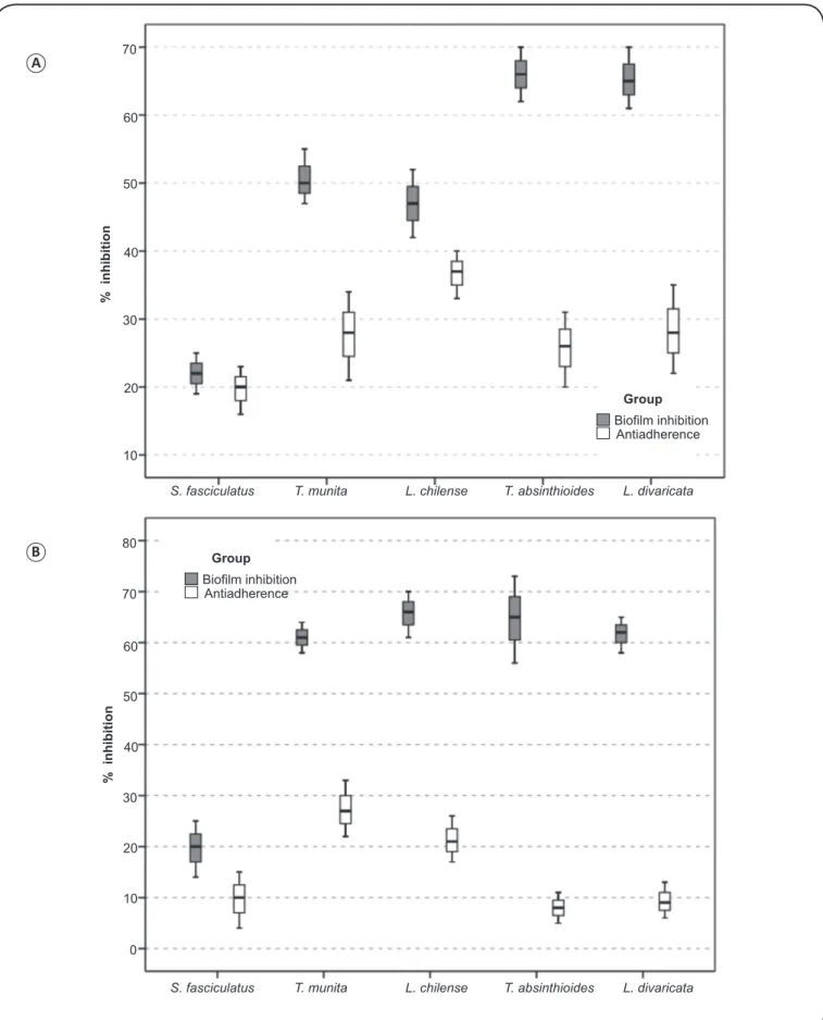 FIGURE 3. Anti-adherence effects against (A): Bacillus sp. Mcn4 and (B):  Staphylococcus sp