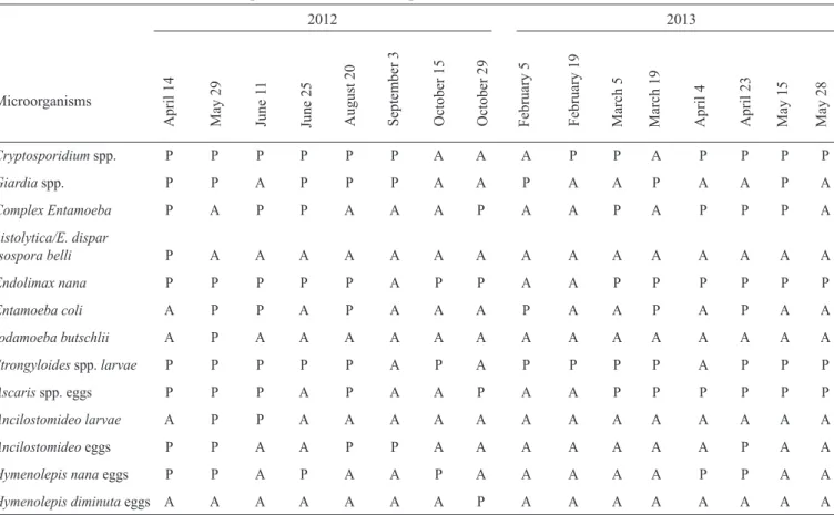 TABLE 1 - Occurrence of intestinal parasites in water samples from the Beberibe River
