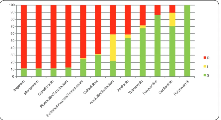 FIGURE 1. In vitro antibiotic susceptibility proﬁ le of Acinetobacter calcoaceticus-Acinetobacter baumannii clinical isolates (%): R: resistant; I: intermediate  and S: susceptible.