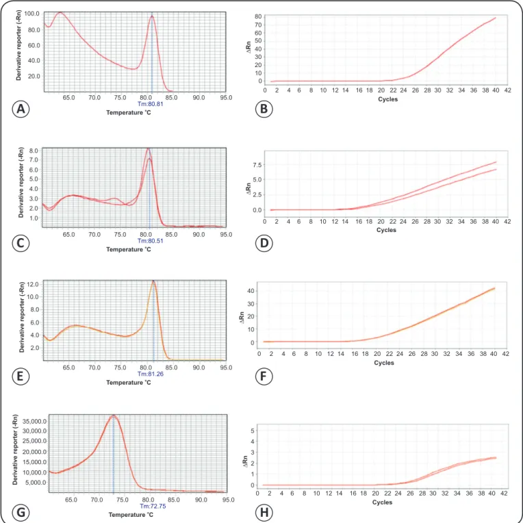 FIGURE 1 - Melting peaks and ampliication curves of real-time RT-PCR for mosquito-borne  Flavivirus  using four different kits