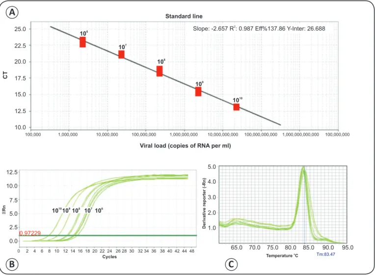 FIGURE 3 - Standard line of real-time RT-PCR with Flavivirus transcribed RNA. A). Standard line with serial decimal dilutions of transcribed Flavivirus  RNA