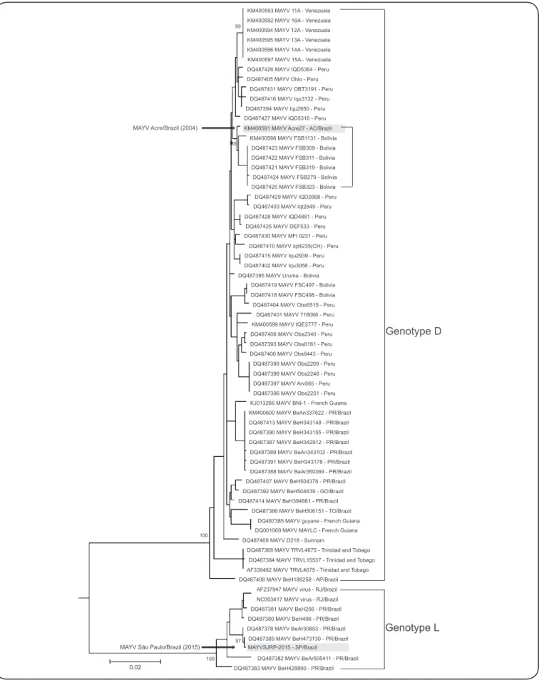 FIGURE 2. Phylogenetic tree of some MAYV sequences. Maximum likelihood phylogenetic tree of 68 sequences of MAYV based on 1,740pb of partial envelope  protein (E1 and E2)