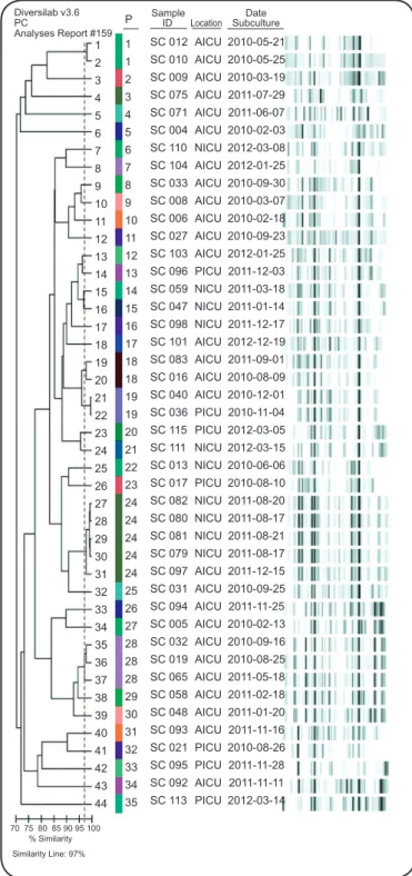 FIGURE 1 - Dendrogram of the clonal relations among the Pseudomonas  aeruginosa strains