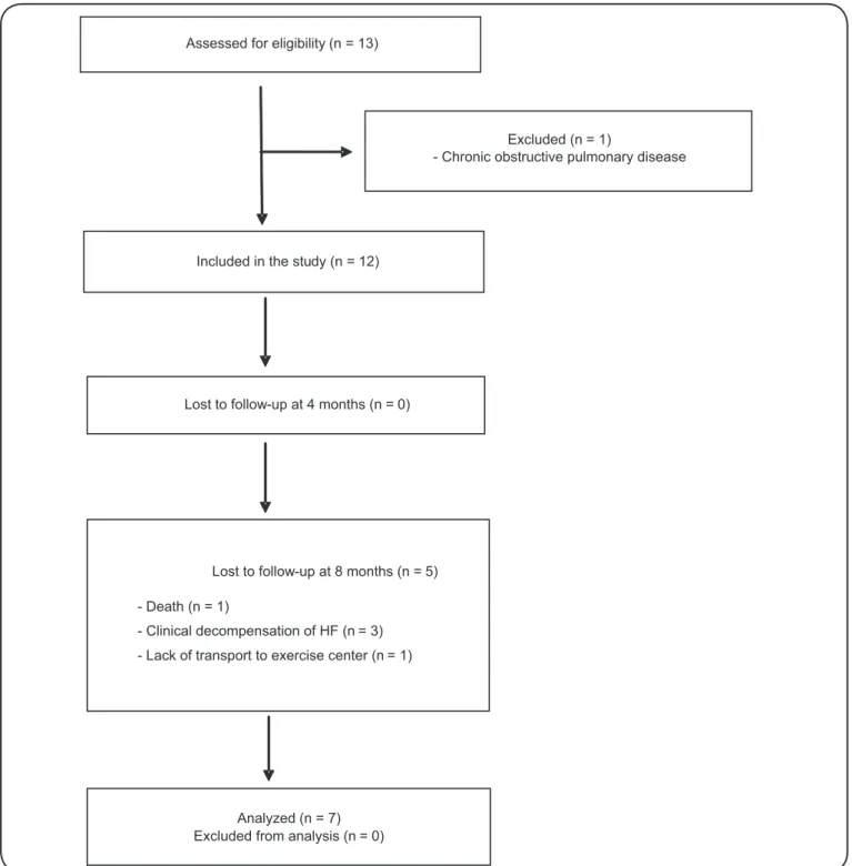 FIGURE 1 - Flow diagram of participants included in the study. HF: heart failure.