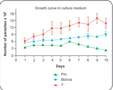 FIGURE 2 - Growth kinetics of the Pm strain of Trypanosoma cruzi  in Liver Infusion Tryptose culture medium