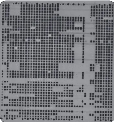 FIGURE 3 - Spoligotyping autoradiograph depicting hybridization  patterns  of  ampliied  DNA  samples  obtained  from  Mycobacterium  tuberculosis isolates from Tehran