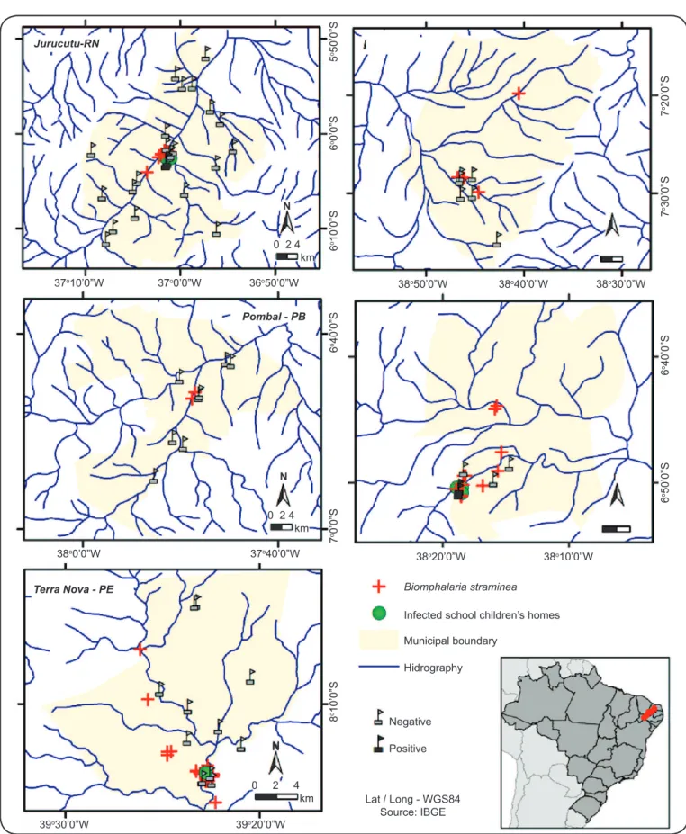 FIGURE 2 - Spatial distribution of the infected schoolchildren’s homes and schools and the Biomphalaria straminea  breeding sites in the ive surveyed  municipalities