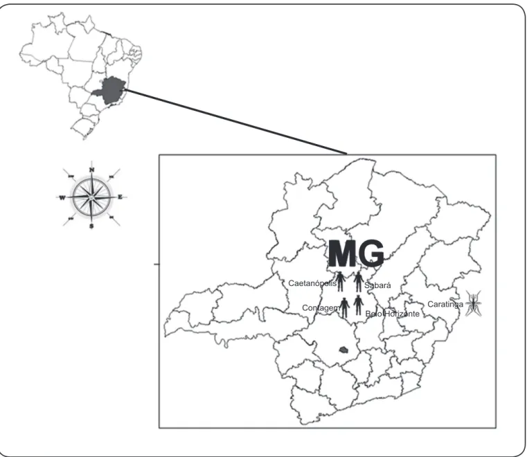 FIGURE 1 - Map of dengue virus 3 (DENV-3) genotype I distribution. Map of Minas Gerais indicating the cities where DENV-3 genotype I was detected