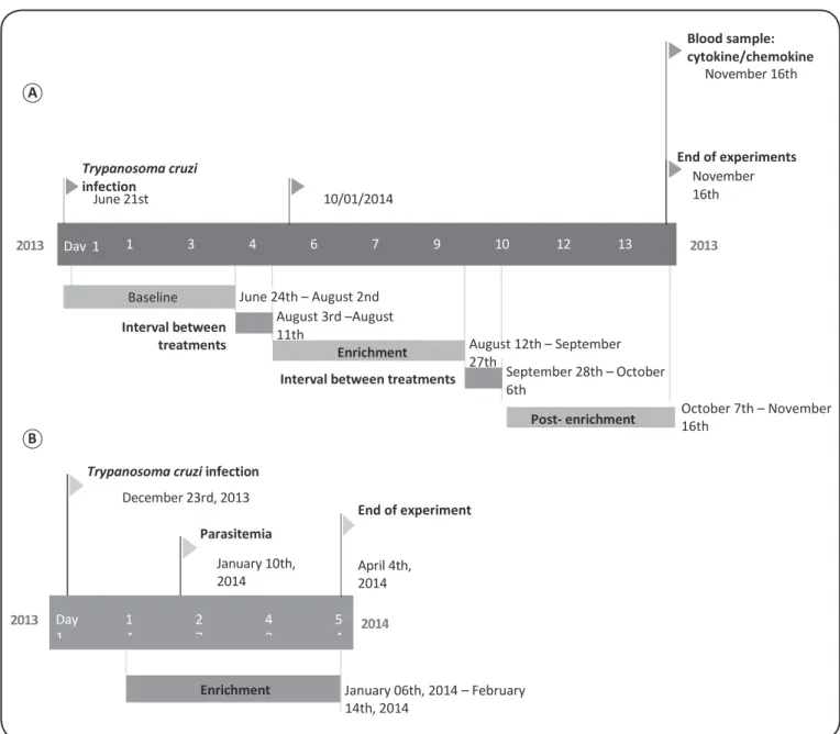 FIGURE 1 - Graphic timeline for the recording of behavioral and physiological data of C57BL/6 mice
