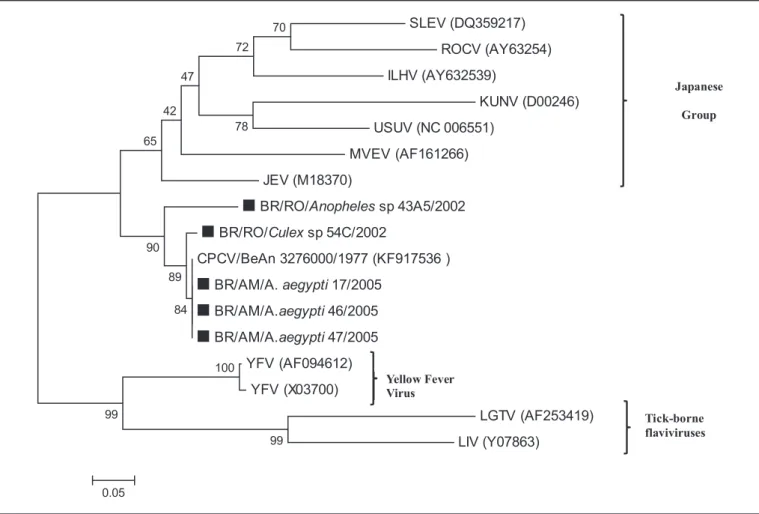 FIGURE 1 - Phylogenetic tree based on NS5 partial gene sequences. The tree was constructed using the Neighbor-joining method with 1,000 bootstrap replications