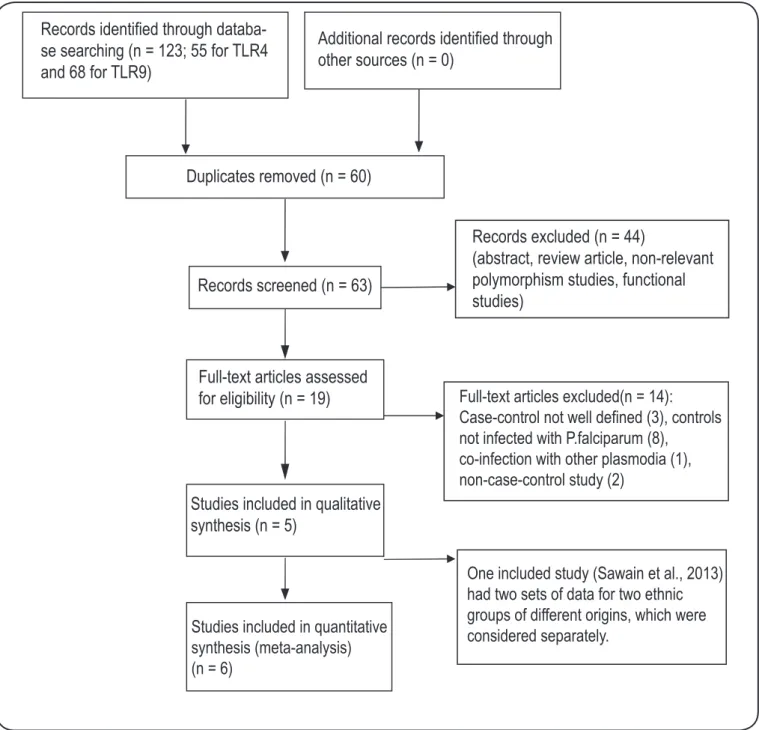 FIGURE 1 - Flow chart for selection of publications included in the meta-analysis.  TLR: Toll-like receptor.