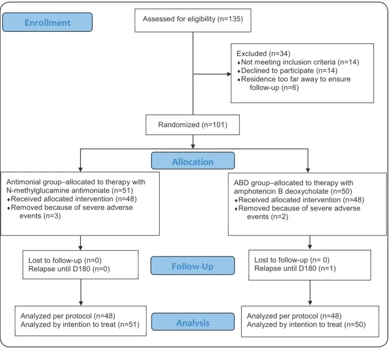 FIGURE 1 - Amphotericin B deoxycholate versus N-methylglucamine antimoniate: CONSORT (Consolidated Standards of Reporting Trials) low diagram.