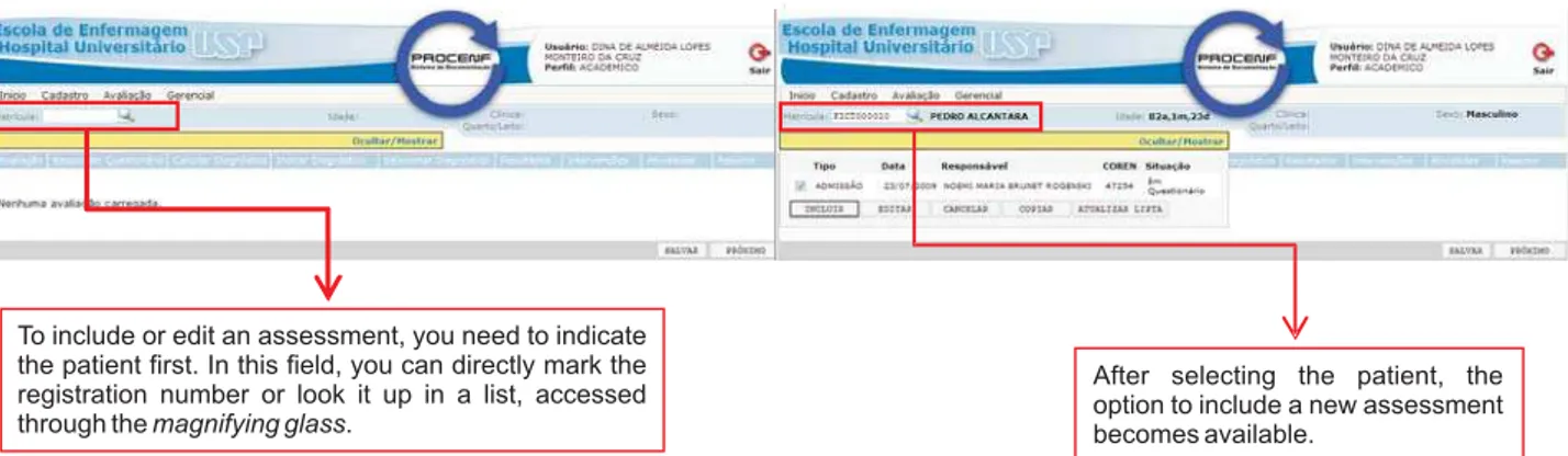 Figure 1: Initial screens of PROCEnf-USP- São Paulo - 2009