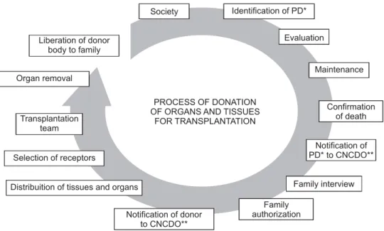 Figure 1 - Stages of the donation process of organs and tissue for transplantation - São Paulo - 2008