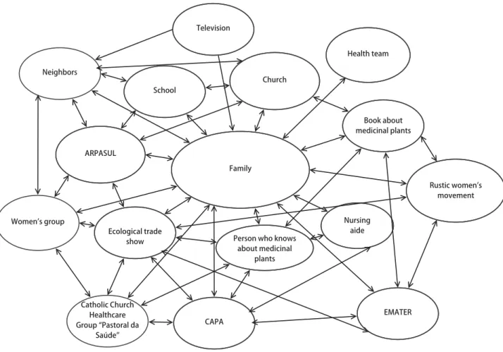Figure 2 - Flow chart about the transmission of knowledge regarding medicinal plants among ecology-based farmers - Pelotas, RS, Brazil - 2009